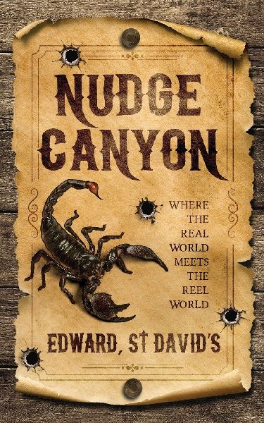 Nudge Canyon: Where the Real world meets the Reel world