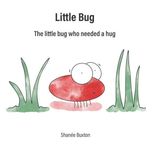 Little Bug The Little Bug Who Needed A Hug