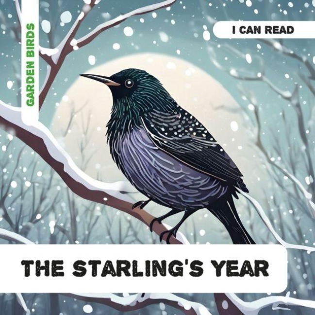 The Starlings Year: Decodable Phonics Reader (Ages 5-7)