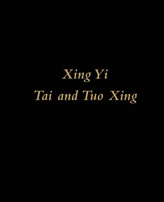 Xing Yi Tai and Tuo Xing: A Study of  Flycatcher and Crocodile