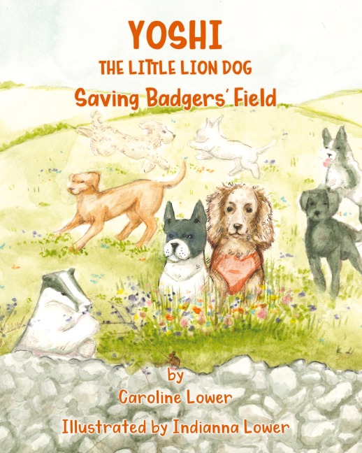 YOSHI: Saving Badgers Field