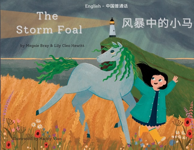 The Storm Foal 风暴中的小马