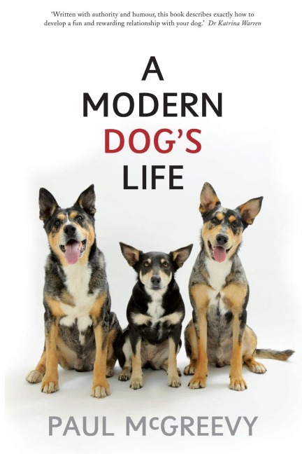 A Modern Dogs Life