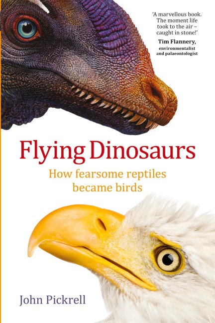 Flying Dinosaurs: How fearsome reptiles became birds