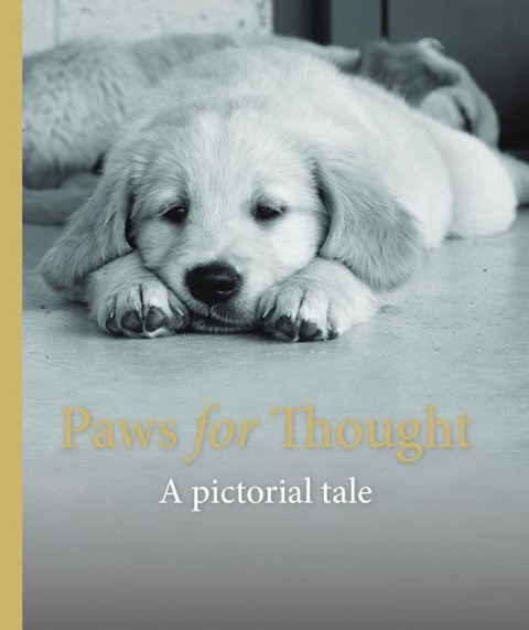 Paws for Thought: A Pictorial Tale