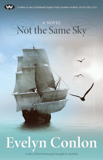 Not the Same Sky: A novel