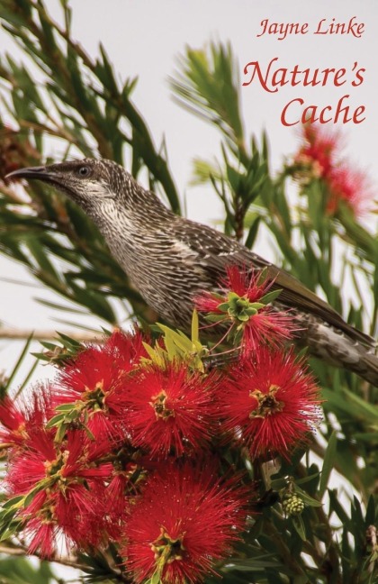 Natures Cache