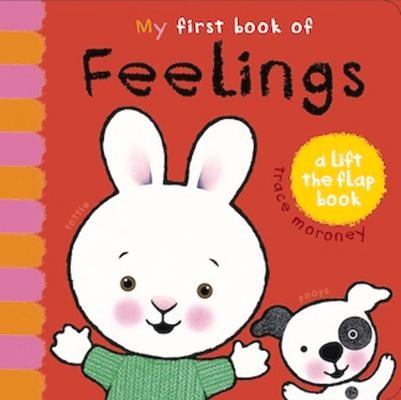 My First Book of Feelings: A Lift the Flap Book