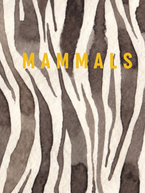 Mammals: Luxe series