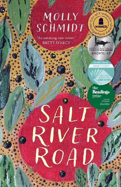 Salt River Road: An award-winning novel about grief and healing