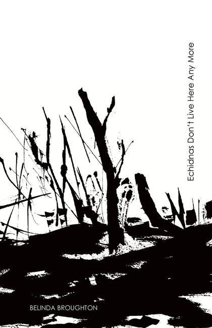 Echidnas Dont Live Here Any More: Poems of loss and recovery since the Black Summer bushfires