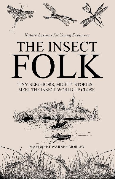 The Insect Folk