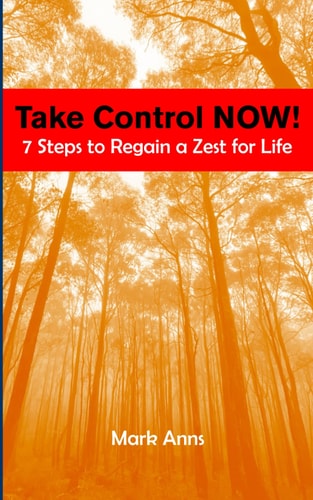 Take Control NOW! 7 Steps to Regain a Zest for Life