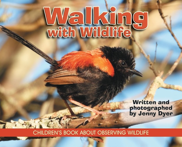 Walking with Wildlife Children's Book about Observing Wildlife