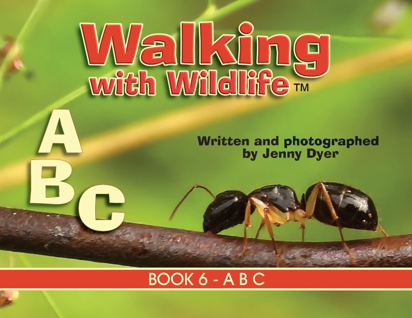 Walking with Wildlife - Book 6: A B C