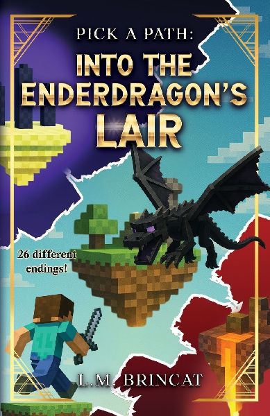 Into the Enderdragons Lair
