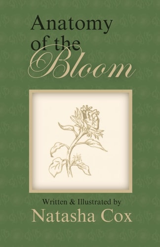 Anatomy of the Bloom