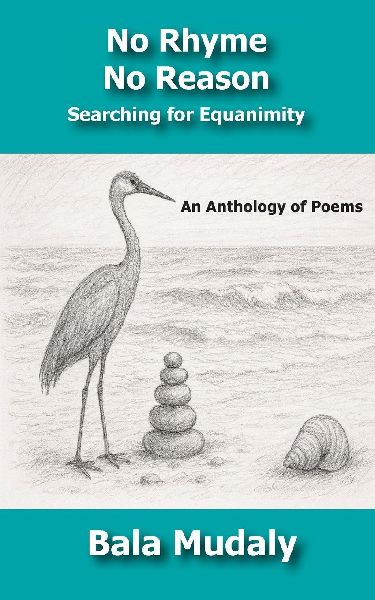 No Rhyme No Reason: Searching for Equanimity