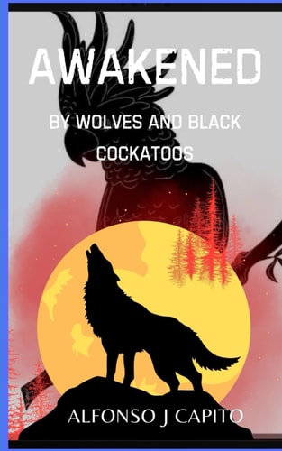 Awakened By Wolves and Black Cockatoos