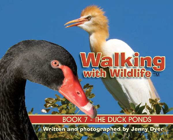 Walking with Wildlife - Book 7: The Duck Ponds