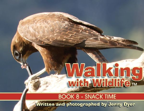 Walking with Wildlife - Book 8: Snack Time