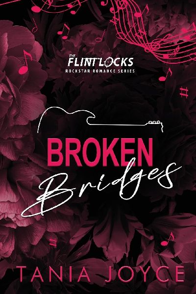 Broken Bridges: A Slow Burn Rockstar Romance - DISCREET SPECIAL EDITION