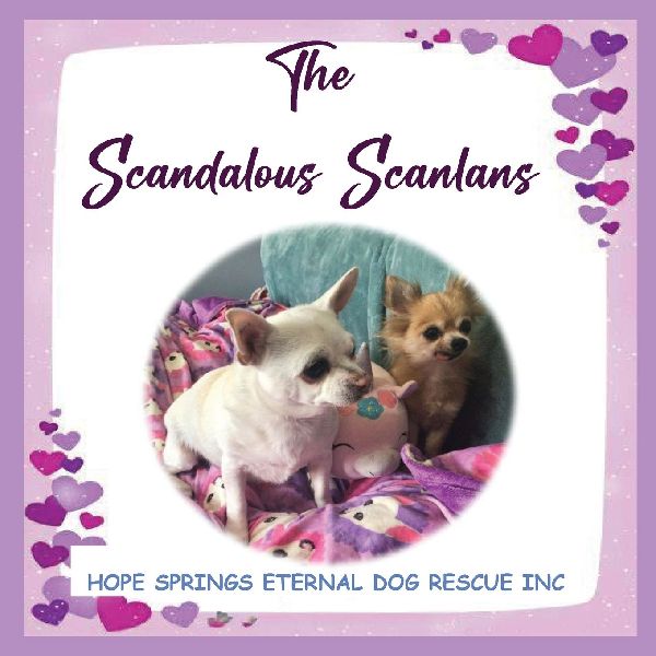The Scandalous Scanlans