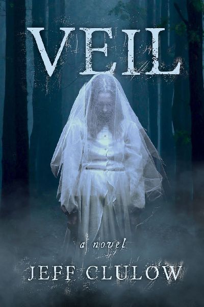 Veil: a novel