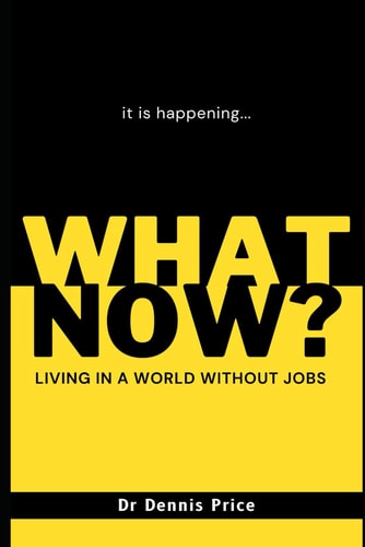 What Now? Living in a World Without Jobs