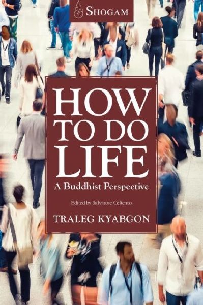 How To Do Life: A Buddhist Perspective