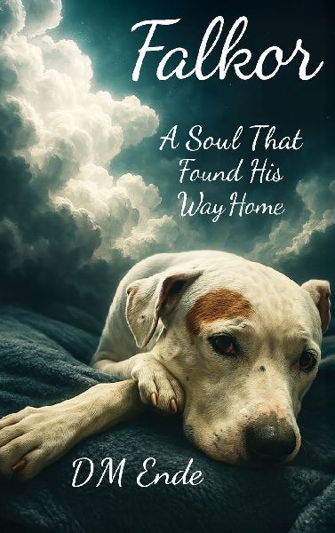 Falkor A Soul That Found His Way Home