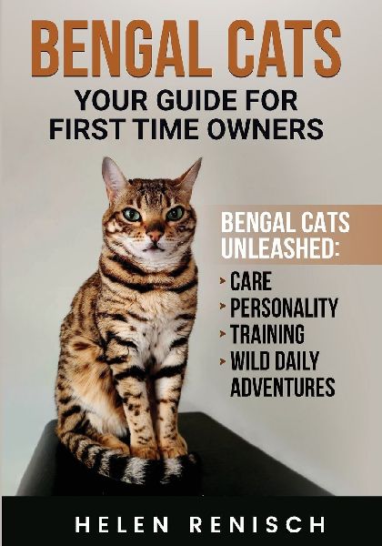 Bengal Cats your Guide for First Time Owners