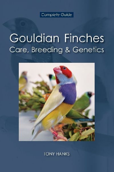 Gouldian Finches - Care, Breeding & Genetics: Complete Guide