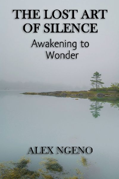 The Lost Art of Silence: Awakening to Wonder