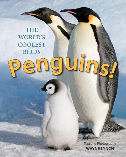 PENGUINS! THE WORLDS COOLEST BIRDS