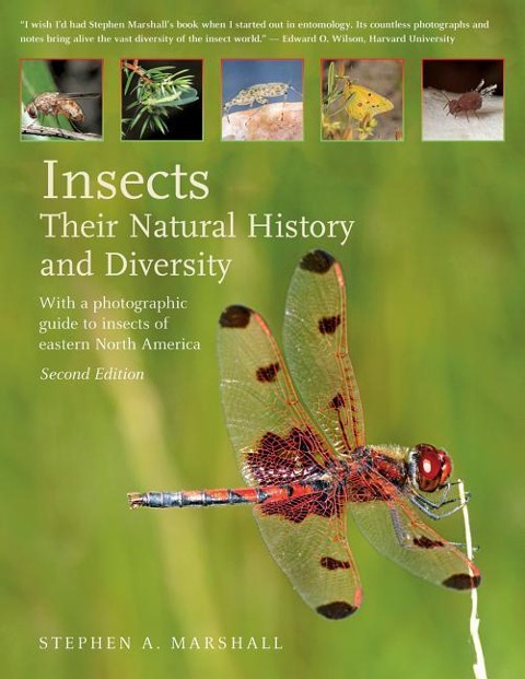 Insects: Their Natural History and Diversity: With a Photographic Guide to Insects of Eastern North America