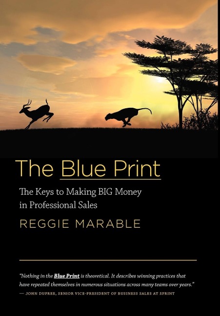 The Blue Print: The Keys to Making BIG Money in Professional Sales