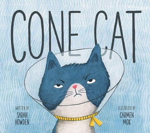 Cone Cat