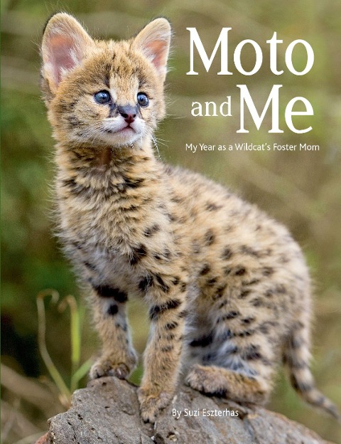 Moto and Me: My Year as a Wildcats Foster Mom