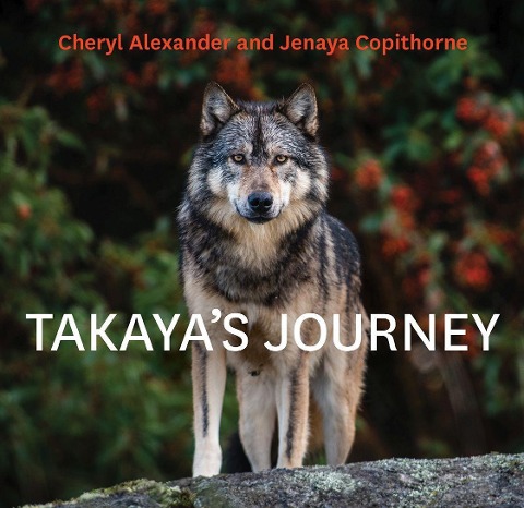 Takayas Journey
