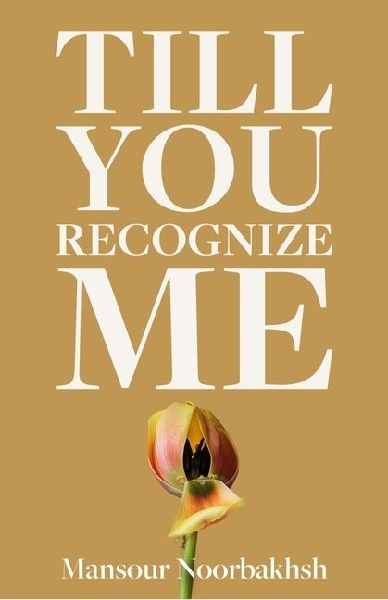 Till You Recognize Me: Poems