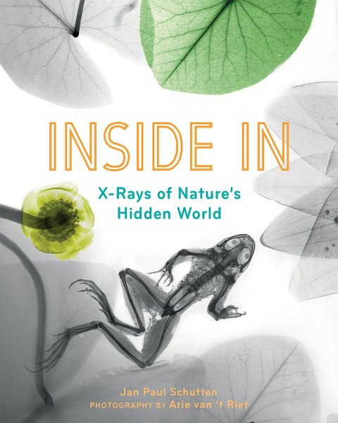 Inside In: X-Rays of Natures Hidden World