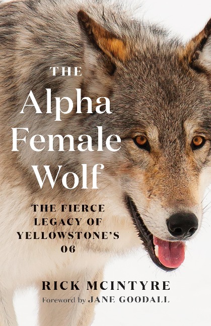 The Alpha Female Wolf: The Fierce Legacy of Yellowstones 06