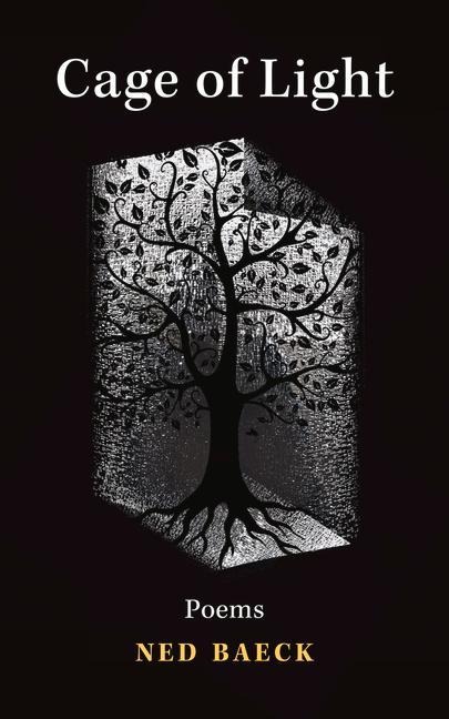 Cage of Light: Volume 295