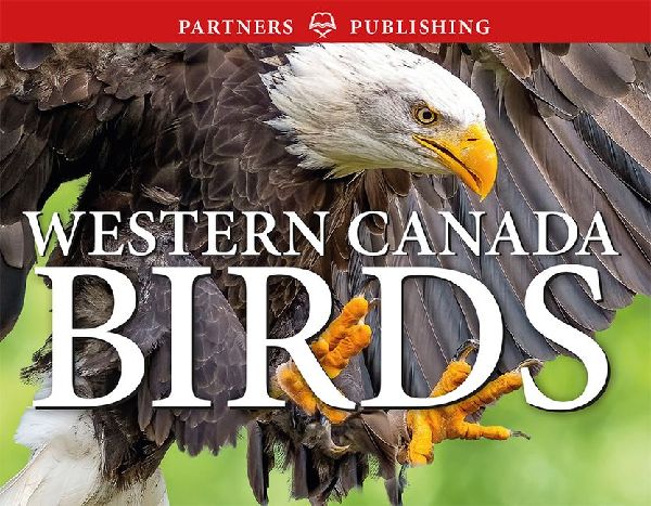 Western Canada Birds: Pocket Guide