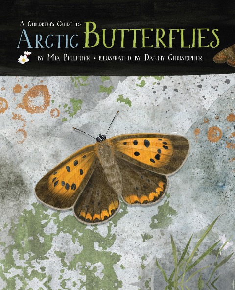 A Childrens Guide to Arctic Butterflies