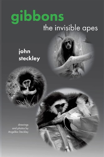 Gibbons The Invisible Apes