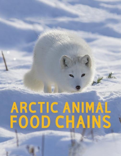 Arctic Animal Food Chains: English Edition