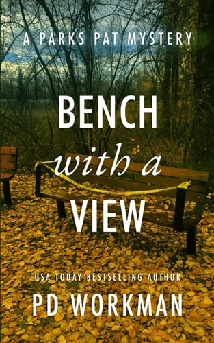 Bench with a View
