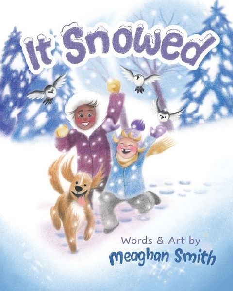 It Snowed